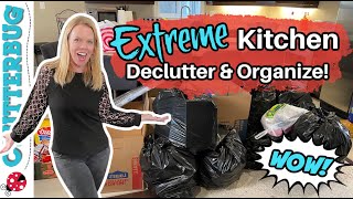 EXTREME Kitchen Declutter and Organization 😱 😱 😱 [upl. by Ihc49]