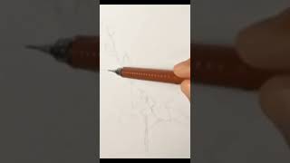 Drawing an Orchid orchids flowers asmr art howto shortvideo youtubeshorts shorts [upl. by Analla]