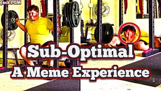 SubOptimal  A Meme Experience [upl. by Lahpos]