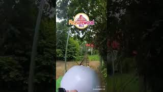 EggSpress 🥚🐣 Rollercoaster  PleasurewoodPWH rollercoaster ride pov [upl. by Favata979]