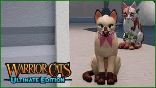 A warrior rejects the soft life of a kittypet  Warrior Cats Ultimate Edition [upl. by Marilin786]