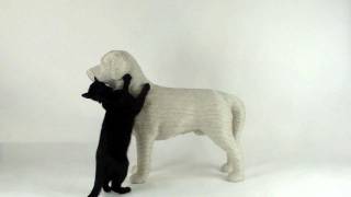 A DOG shaped scratch post for cats Designed by Studio Erik Stehmann [upl. by Airom]