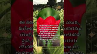 Haggai 29 bible telugu telugubible meditation motivation flowers biblestudy [upl. by Eibocaj]