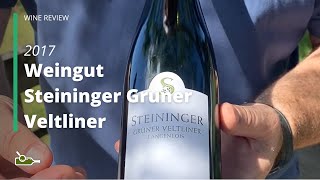 Wine Review Steininger Kamptal Gruner Veltliner 2017 [upl. by Ursel474]