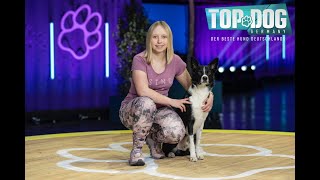 Top Dog Germany 2023 – Nadine Alshut amp Cinna – Vorrundensieger 🏆️🥇 [upl. by Alduino682]