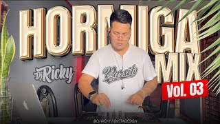 HORMIGA MIX VOL 03  Dj Ricky CUMBIA PERUANA [upl. by Pietje146]