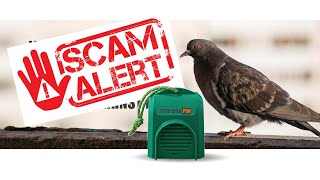 Pigeon deterrent SCAM  Stop Bird Pro  review  repellent  control  how not to get rid of pigeons [upl. by Ybot]