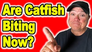 Is Now a Bad Time to Catch Catfish [upl. by Phaih]