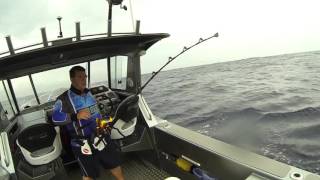 Marlin caught fishing solo at bermagui [upl. by Navannod]