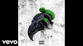 Future Young Thug  Drip on Me Audio [upl. by Iliak]