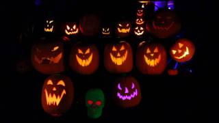 Grim Grinning Singing Pumpkins Halloween Display [upl. by Aicad]