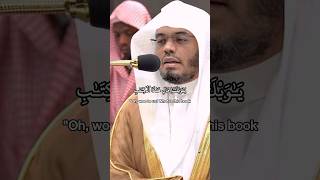 Surah AlKahf  Sheikh Yasser Al Dossary  quran shorts [upl. by Thomasin]