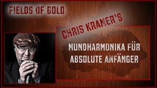 Mundharmonika für absolute Anfänger mit Chris Kramer  Song 5  Fields Of Gold [upl. by Magnus]