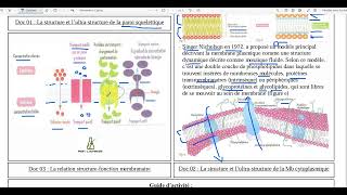 74La relation structure fonction membranaire [upl. by Byler]