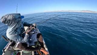 kayak fishing los cabos [upl. by Assyram]