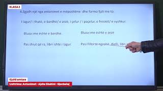 e Mesimi Klasa 2  2109 Gjuhë amtare  Ushtrime  Antonimet [upl. by Ignace]