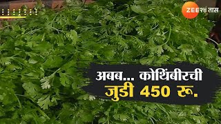 Special Report  अबब कोथिंबीरचे भाव गगनाला भिडले कोथिंबीरला प्रतिजुडी 450 रुपये दर  Zee24Taas [upl. by Arlynne]