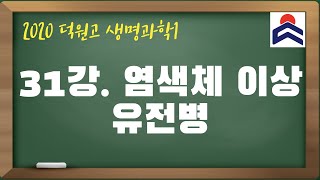 생명과학1 31강 염색체 이상 유전병 [upl. by Ehrenberg955]