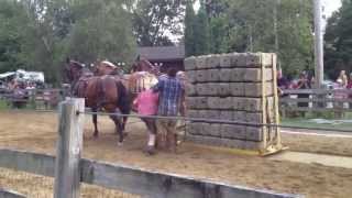 Stratham Fair 2013 Horse Pull [upl. by Llywellyn]