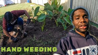 My JAMAICAN Garden Hand Weeding  Living In Australia 🇦🇺 [upl. by Pieter]