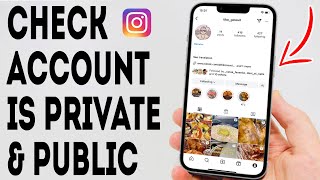 How To Check Your Instagram Account Is Private amp Public  Full Guide [upl. by Leihcar98]