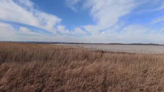 Spaziergang Nationalpark Neusiedler See – Seewinkel Lange Lacke amp Wörthenlacken DJI Osmo Mobile 3 [upl. by Leopoldeen]