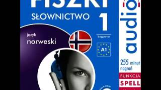 FISZKI audio  j norweski  Słownictwo 1  audiobook  demo [upl. by Cassondra]