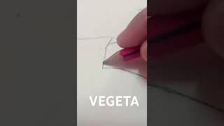 VEGETA [upl. by Soisinoid]