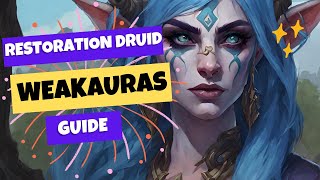 Resto Druid Weakauras Guide  Boost Your Awareness in Mythic Plus [upl. by Euqirat]