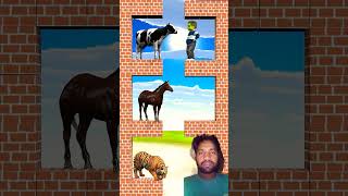 Cow horse and tiger 😂😜🤣shortvideos cartoon funny animation viral viralvideos funniestvideo [upl. by Bryana750]