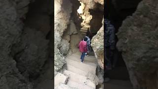 Lion cave eco park ecopark lioncave nainital ytshorts trending viralshort [upl. by Truitt]