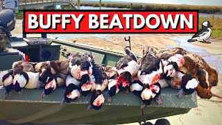 Bufflehead Beatdown on the Georgia Coast Tybee Island [upl. by Cazzie]