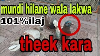 Mundi hilane wale lakwe ka ilajpart2 hilne wala lakwe ko theek kiya [upl. by Elirpa432]