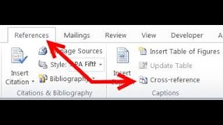 How to Insert CrossReference in Ms Word 2007 [upl. by Gnep]