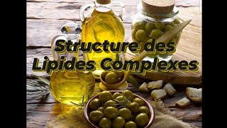 STRUCTURE DES LIPIDES COMPLEXES [upl. by Maher]