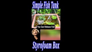 Make fish tank from styrofoam box [upl. by Novar]