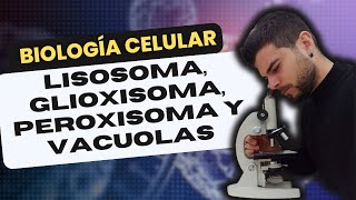 BIOLOGÍA CELULAR LISOSOMA PEROXISOMA GLIOXISOMA y VACUOLA [upl. by Atinhoj]