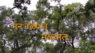 Man Talyat Malyat Marathi Kavita  मन तळ्यात मळ्यात  कविता  संदीप खरे  सलील कुलकर्णी  कविता ❣️ [upl. by Leifeste]