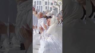 Sun lijiye meri fariyad rounakafroz duet muslimdating love [upl. by Callahan452]