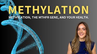 Methylation the MTHFR gene and your health [upl. by Leyla]