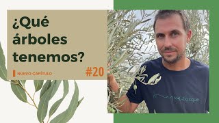 🍀🌱 ¿Qué árboles plantar para un bosque comestible 🌳🥑  Episodio 20 [upl. by Soracco]