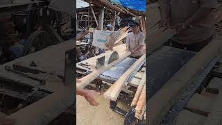 Proses penggergajian membuat reng kayu waru woodworking shorts [upl. by Hairahs904]