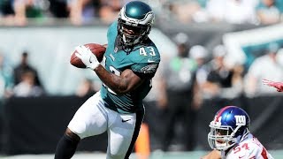 Darren Sproles  quotMighty Mousequot Highlights [upl. by Hayidan48]