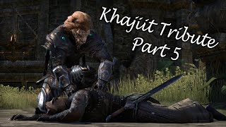 Khajiit Tribute Part 5 [upl. by Nabroc]