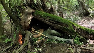 Building a warm shelter under an old mossy tree trunk  solo bushcraft skills [upl. by Yanal565]