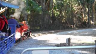 Currumbin wildlife sanctuary steam train [upl. by Olivero]