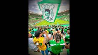 NUNCA ES SUFICIENTE  AVALANCHA VERDE NORTE  COROS DEPORTIVO CALI [upl. by Let112]