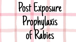 Post exposure prophylaxis for Rabies  CNS  Microbiology [upl. by Acisse]