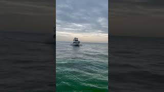 Fairline Squadron  Sea Trial snippet [upl. by Lough]