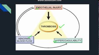 Thrombosis [upl. by Anedal411]